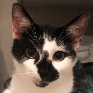 Meet your Posher, Hayley